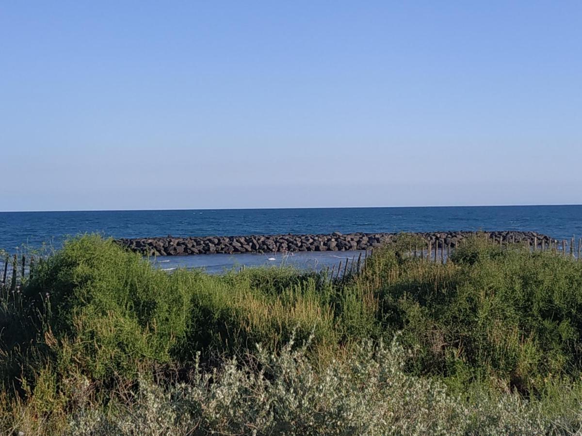 ויאס Appartement, Vue Sur Mer, Acces Direct Plage, Piscine מראה חיצוני תמונה